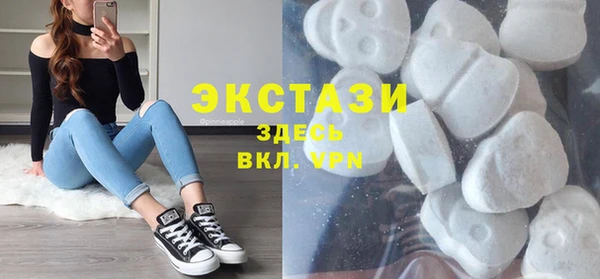 гидра Богородск