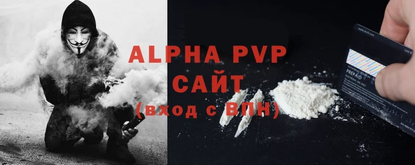 гидра Богородск
