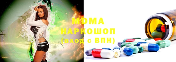гидра Богородск