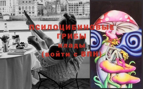 гидра Богородск