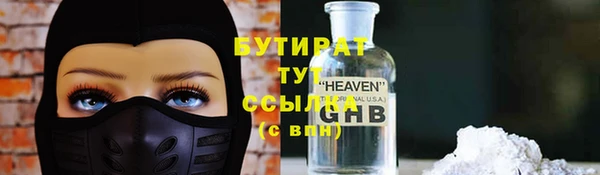 гидра Богородск