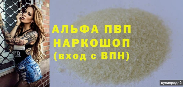гидра Богородск