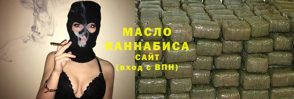 гидра Богородск